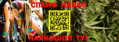 сатива Кимры