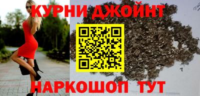 сатива Кимры