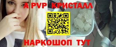 стафф Кинель