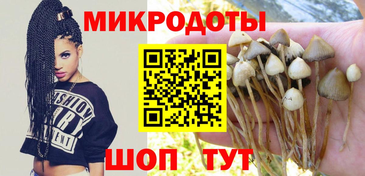 Псилоцибиновые грибы Magic Shrooms Кемерово