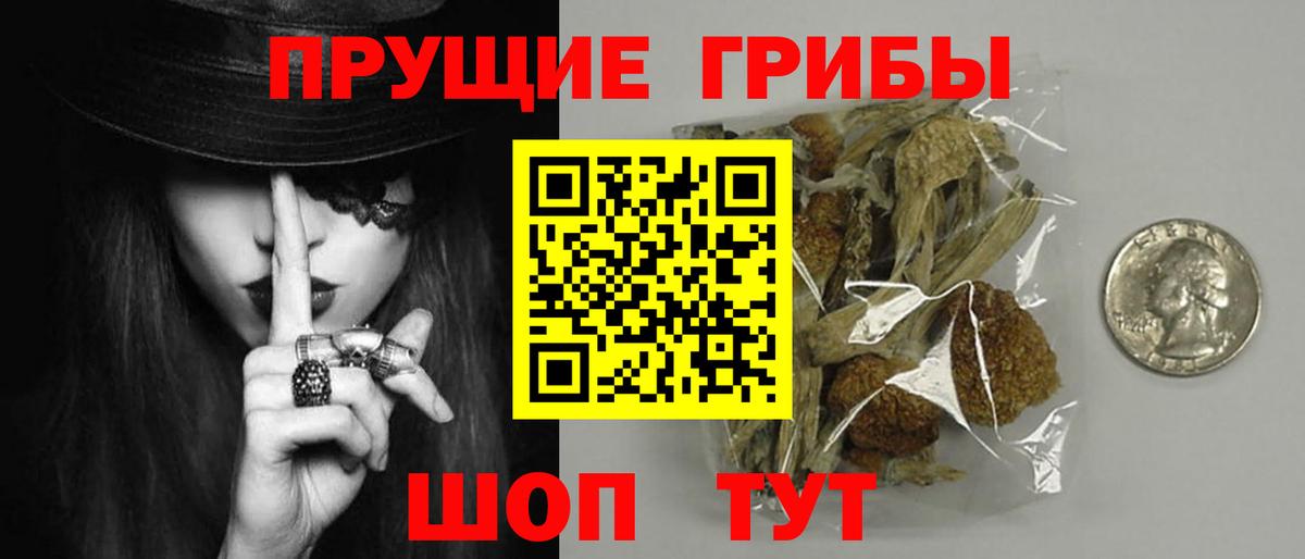 Кемерово  хочу   Вход с VPN  Галлюциногенные грибы прущие грибы 